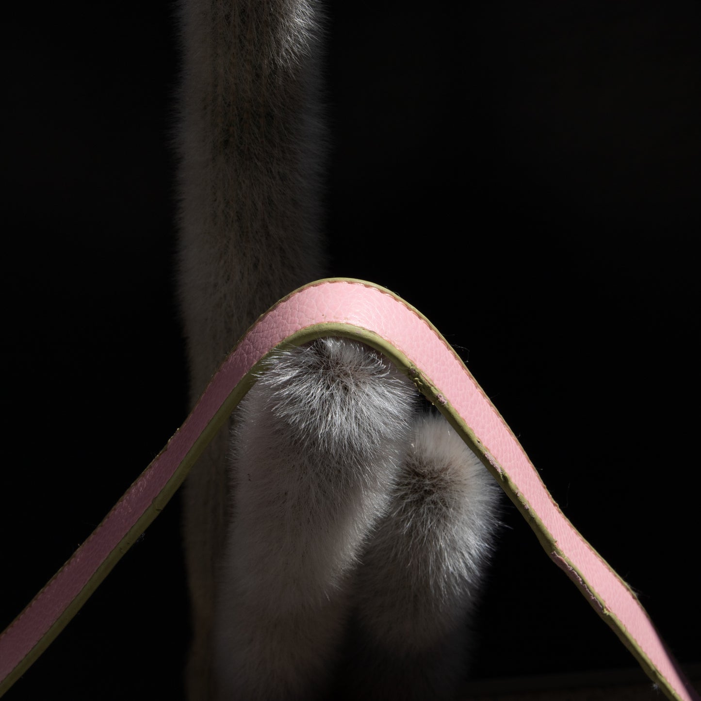 Mala Bandolera