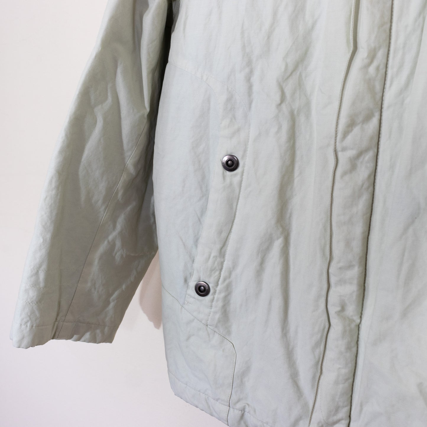 Lion of Porches coat