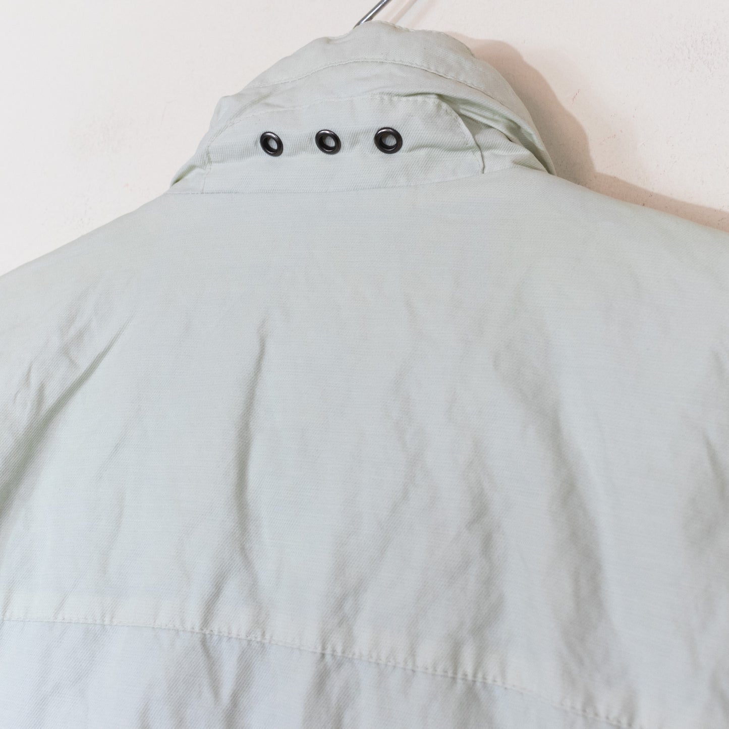 Lion of Porches coat