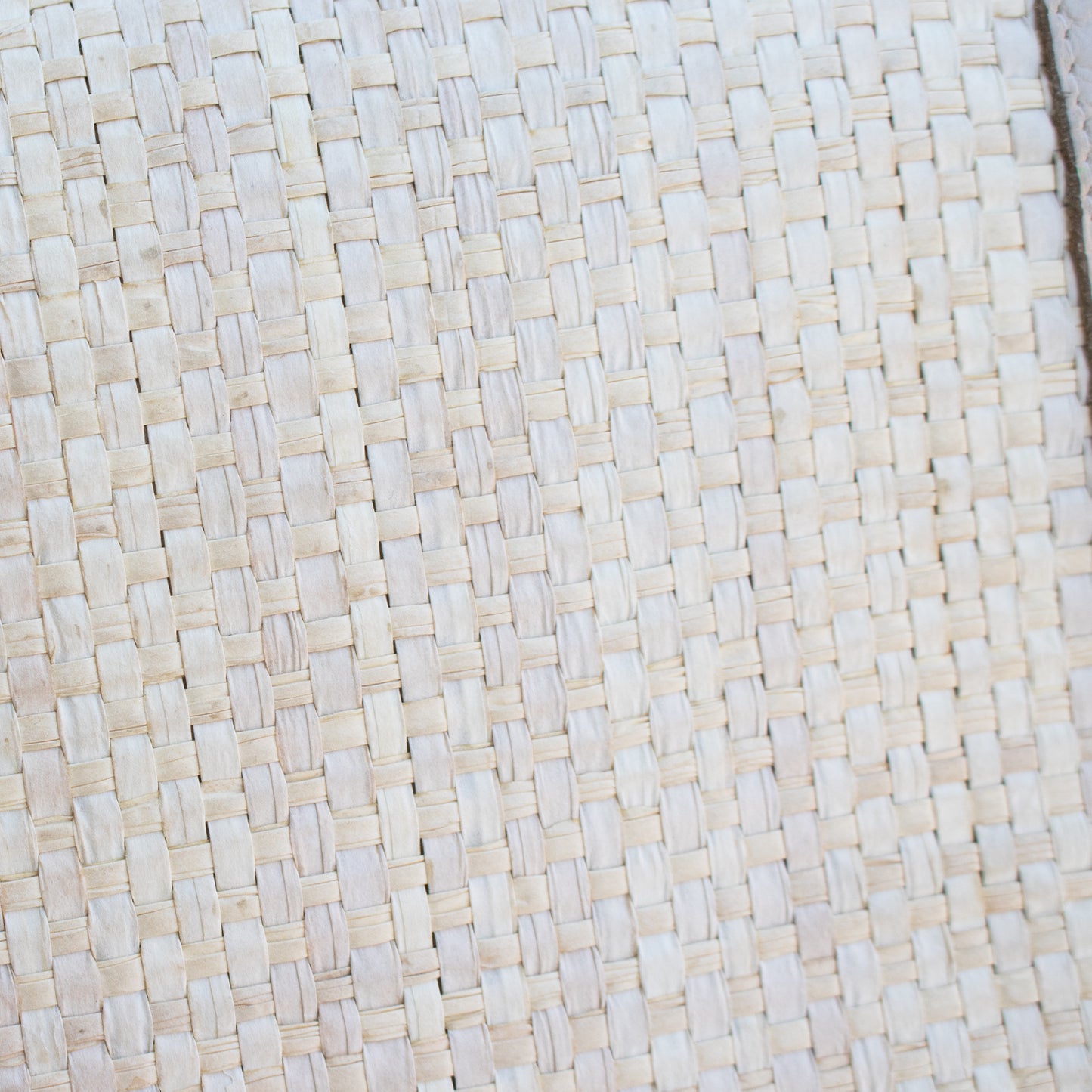 Sac Beneditas