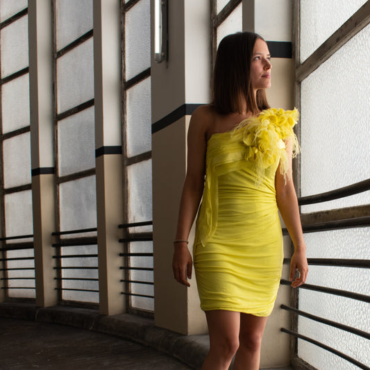 Vestido Elisabetta Franchi