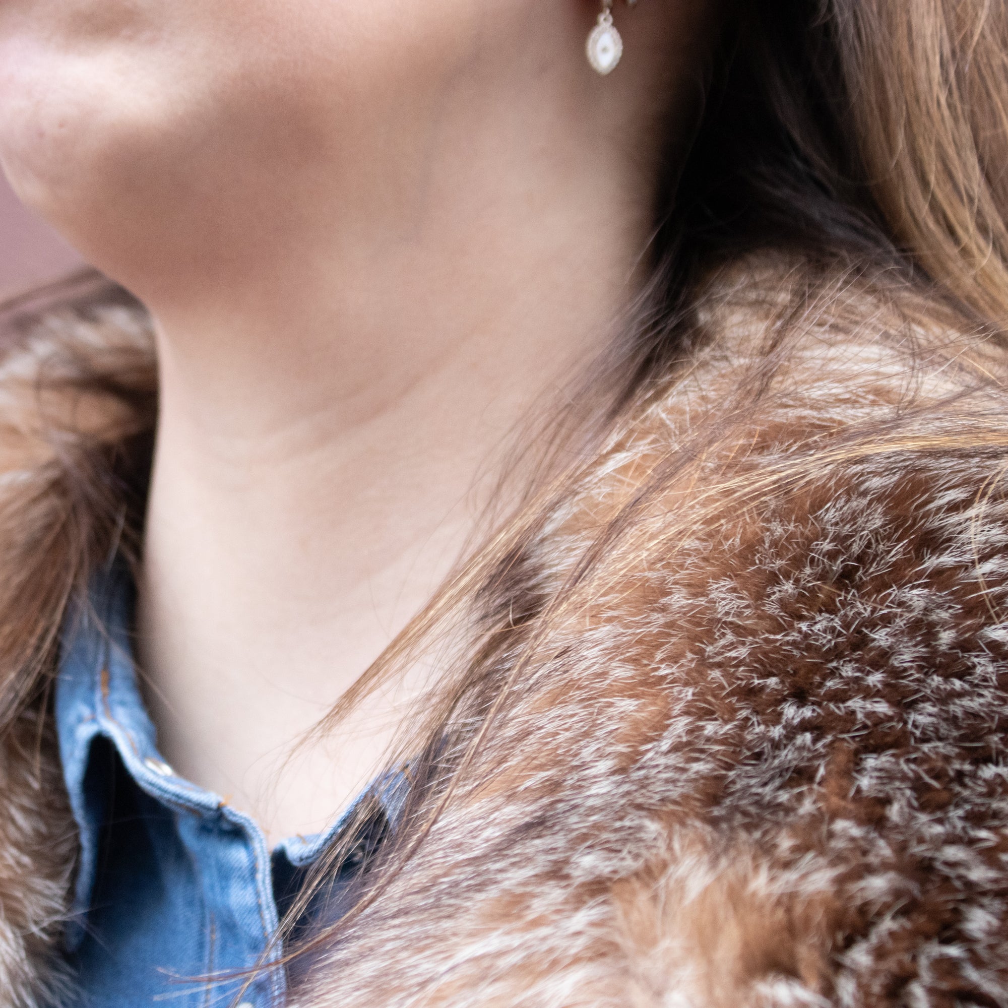 Coat of Golden Fox Loins