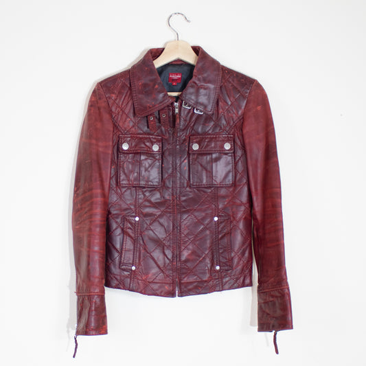 Lion of Porches jacket