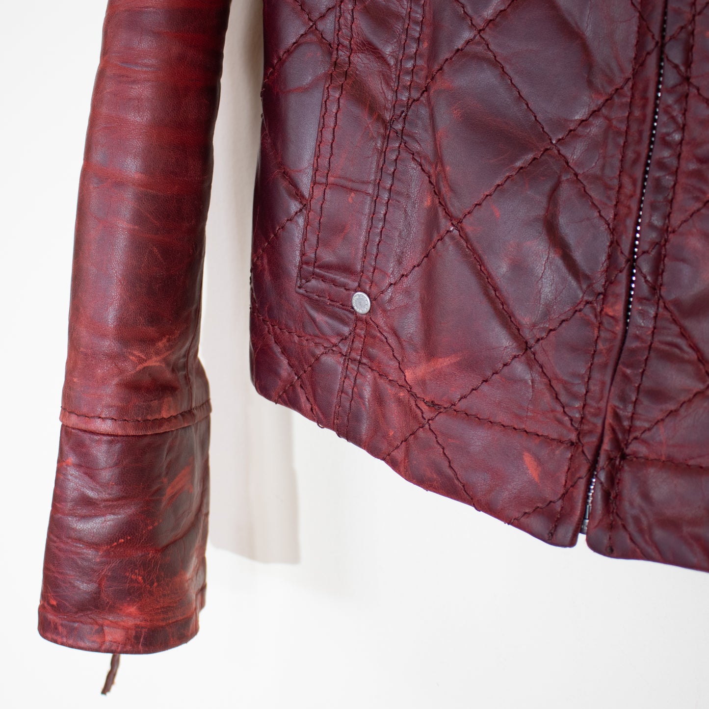 Lion of Porches jacket